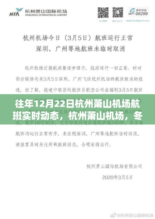 杭州蕭山機(jī)場冬至航班實(shí)時(shí)動(dòng)態(tài),舞動(dòng)長空的翅膀
