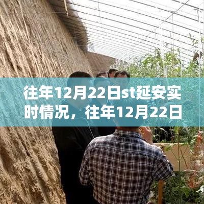 往年12月22日ST延安實時情況詳解,掌握攻略,輕松完成任務!