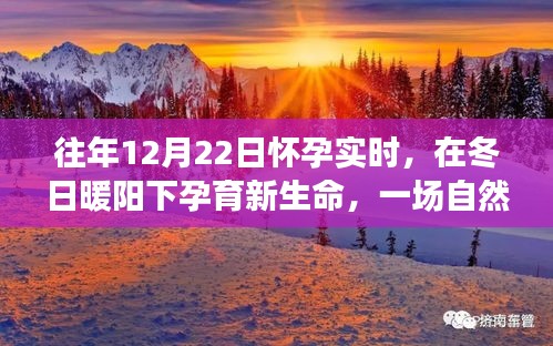 冬日暖陽下的孕育之旅,自然美景探索與孕育新生命紀實