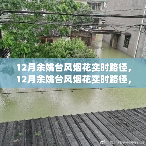 深度解析與前沿觀察,12月余姚臺風煙花實時路徑追蹤
