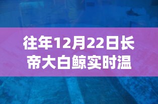 長帝大白鯨智能溫度計，實時溫度觸手可及，科技帶來生活溫暖