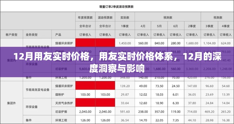 用友實時價格體系深度洞察,12月價格變動與影響分析