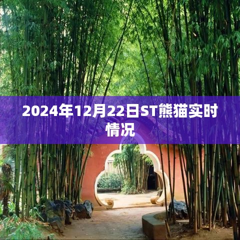 ST熊貓實時動態,最新消息與走勢分析