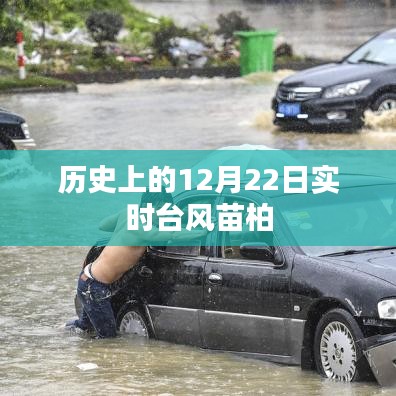 實時臺風苗柏歷史記錄，12月22日情況概述
