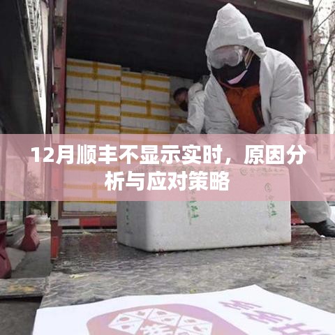 順豐快遞實時信息缺失，原因解析與應對方案