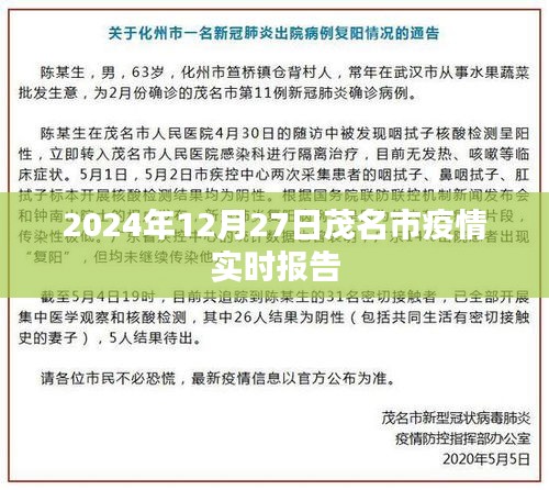 茂名市疫情實時報告,最新數據及分析(日期,XXXX年XX月XX日)