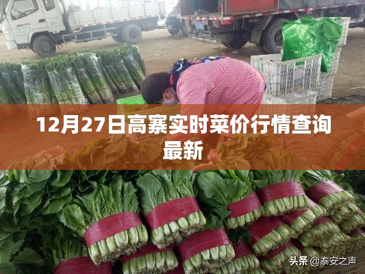 高寨實時菜價行情更新,最新查詢結果