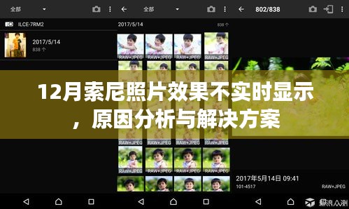 索尼照片效果不實時顯示,原因解析與解決方案