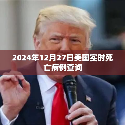 美國實時死亡病例查詢(截至2024年12月27日)