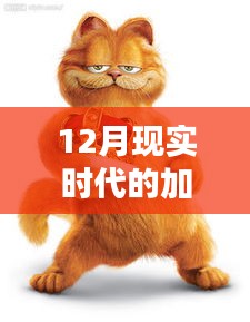 現(xiàn)實版加菲貓圖片集，溫馨可愛瞬間捕捉