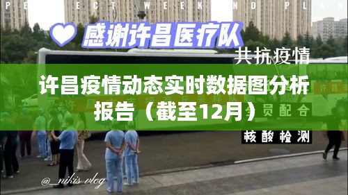 許昌疫情實時數據圖分析報告（截至12月最新動態）