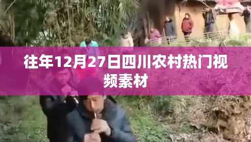 不翼而飛 第5頁