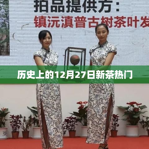十二月二十七日新茶風(fēng)云,歷史回顧與今日熱門