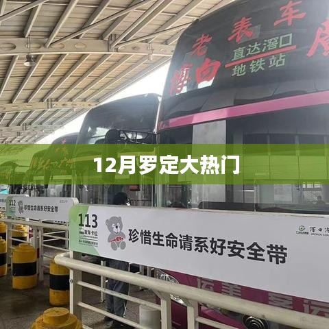 羅定熱點新聞,揭秘十二月大熱門事件