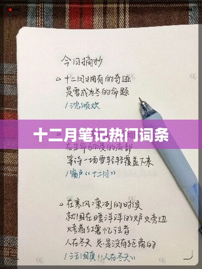 十二月筆記熱門詞匯盤點