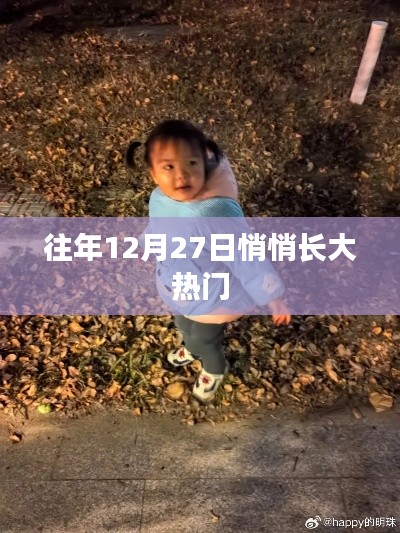 年終倒數(shù)時(shí)刻，揭秘十二月二十七日的熱門秘密