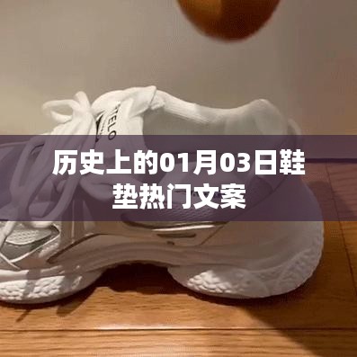 鞋墊界的熱門事件,歷史上的那些日子——一月三日回顧