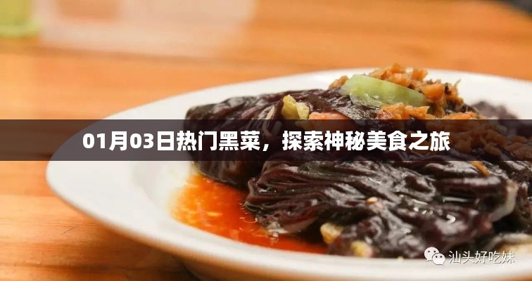 熱門黑菜探索,神秘美食之旅(日期標注)