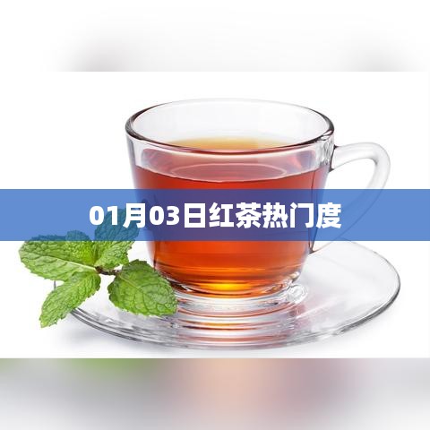 紅茶熱門度揭秘,最新趨勢(shì)分析(日期,01月03日)