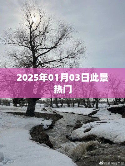 2025年元旦后三日景象預(yù)測(cè),熱門事件展望