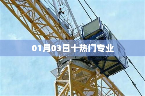 最新熱門專業榜單TOP10,01月03日更新
