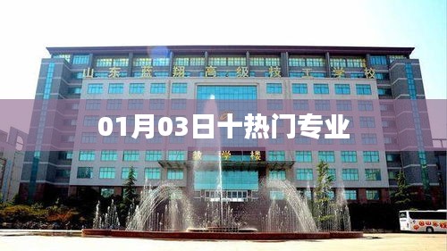 最新熱門專業榜單TOP10,01月03日更新