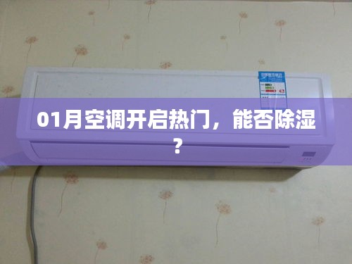 空調開啟熱門，除濕效果如何？