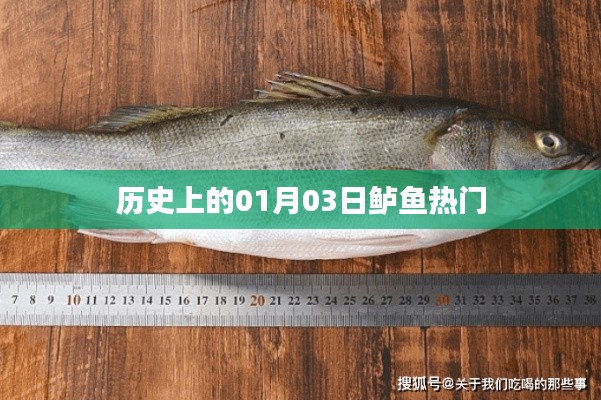 歷史上的鱸魚盛事，一月三日回顧