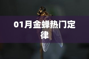澹泊明志，寧靜致遠 第5頁