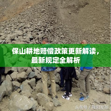 保山耕地賠償政策更新解讀,最新規(guī)定全解析