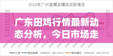 廣東田雞行情最新動態分析,今日市場走勢揭秘