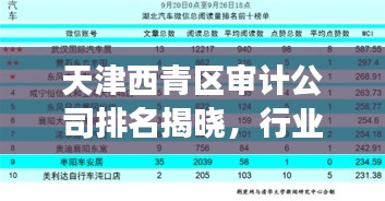 天津西青區(qū)審計公司排名揭曉,行業(yè)影響力榜單重磅出爐!