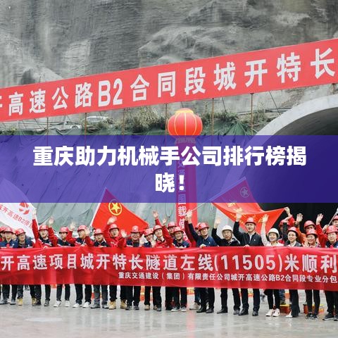 重慶助力機械手公司排行榜揭曉!