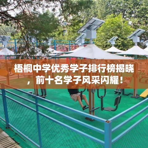 梧桐中學(xué)優(yōu)秀學(xué)子排行榜揭曉,前十名學(xué)子風(fēng)采閃耀!