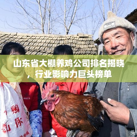山東省大棚養(yǎng)雞公司排名揭曉,行業(yè)影響力巨頭榜單