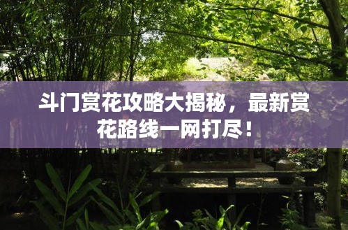 斗門賞花攻略大揭秘,最新賞花路線一網打盡!