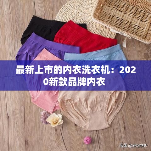 最新上市的內(nèi)衣洗衣機:2020新款品牌內(nèi)衣