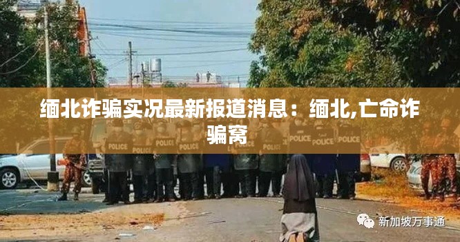 緬北詐騙實況最新報道消息:緬北,亡命詐騙窩