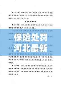 保險處罰河北最新規(guī)定：河北省保險條例實施辦法 