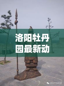 洛陽牡丹園最新動態,今日頭條新聞搶先看