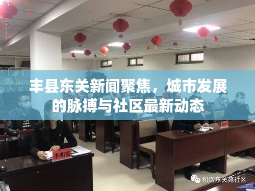 豐縣東關新聞聚焦，城市發展的脈搏與社區最新動態