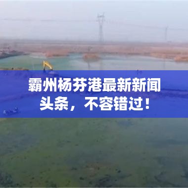 欣喜若狂 第4頁(yè)