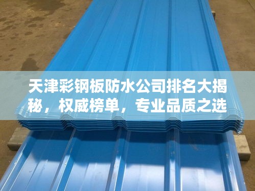 天津彩鋼板防水公司排名大揭秘，權威榜單，專業品質之選！