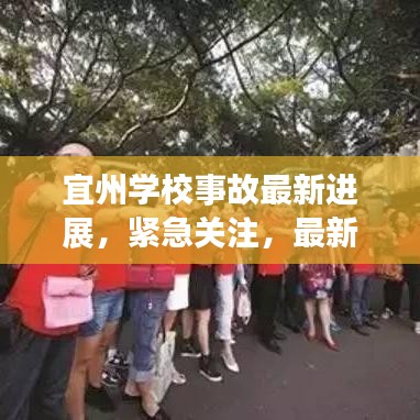 宜州學校事故最新進展,緊急關注,最新消息披露!