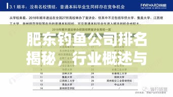 肥東釣魚公司排名揭秘,行業(yè)概述與熱門推薦