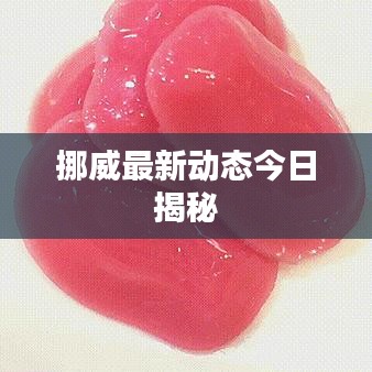 挪威最新動態今日揭秘