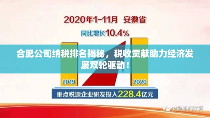合肥公司納稅排名揭秘,稅收貢獻(xiàn)助力經(jīng)濟(jì)發(fā)展雙輪驅(qū)動!