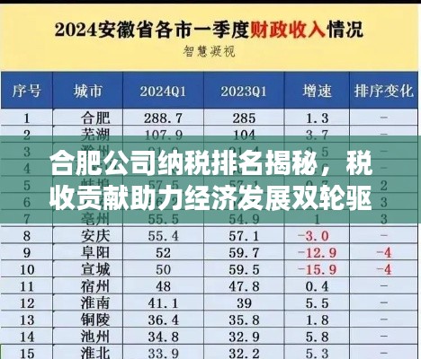 合肥公司納稅排名揭秘,稅收貢獻(xiàn)助力經(jīng)濟(jì)發(fā)展雙輪驅(qū)動!