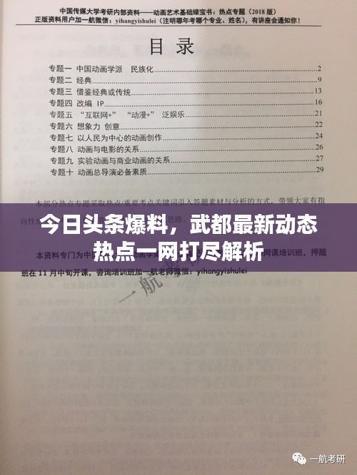 今日頭條爆料,武都最新動態熱點一網打盡解析
