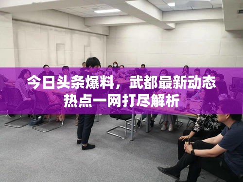 今日頭條爆料,武都最新動態熱點一網打盡解析